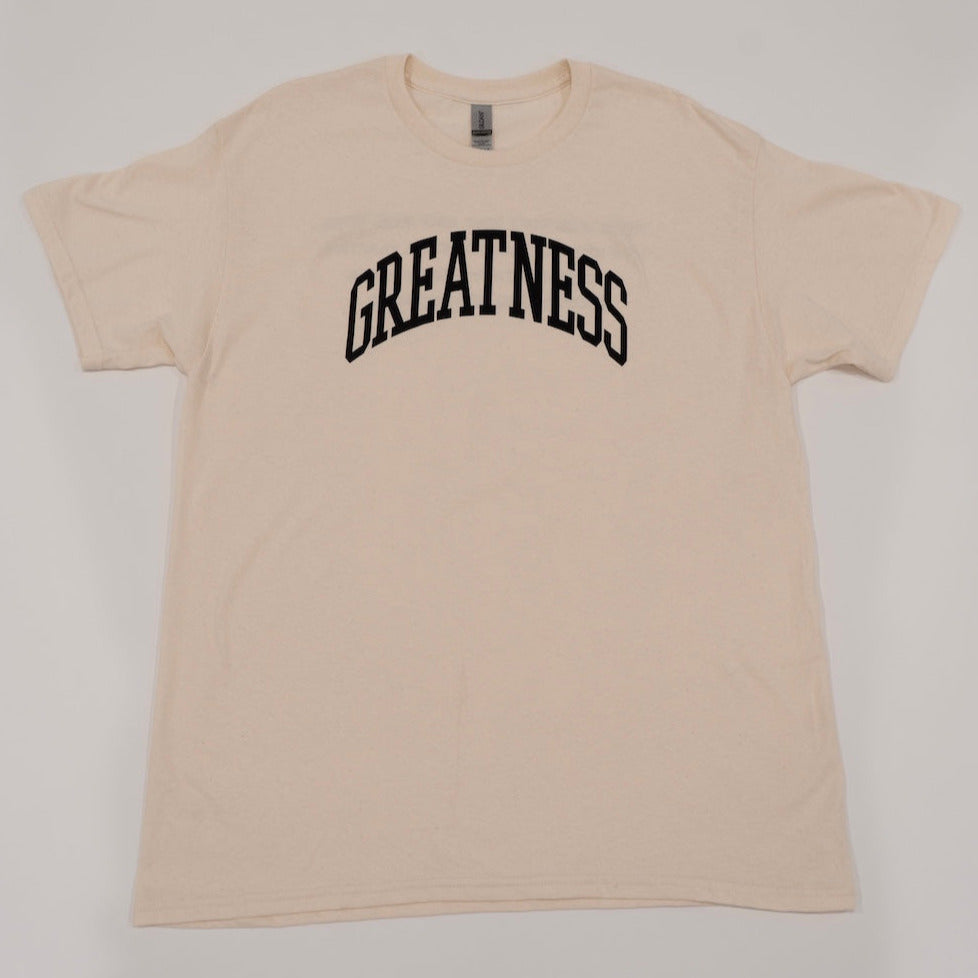 
                  
                    Load image into Gallery viewer, GREATNESS REGULAR T-SHIRT
                  
                
